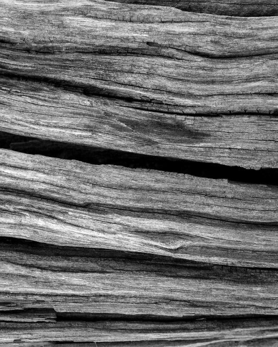 wavy line accent